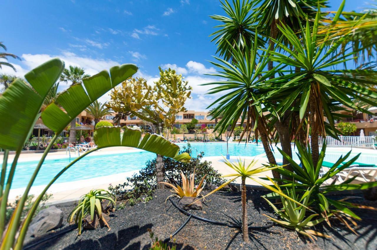 AlicesBungalowPoolView-Summer Corralejo Exterior foto